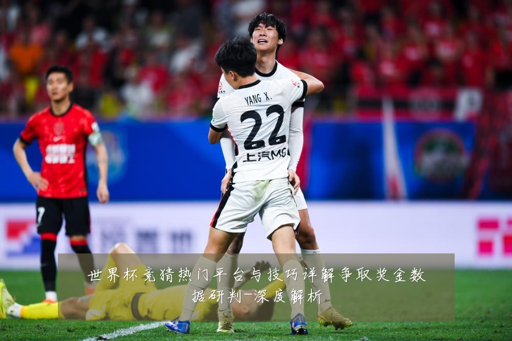 世界杯竞猜热门平台与技巧详解争取奖金数据研判-深度解析